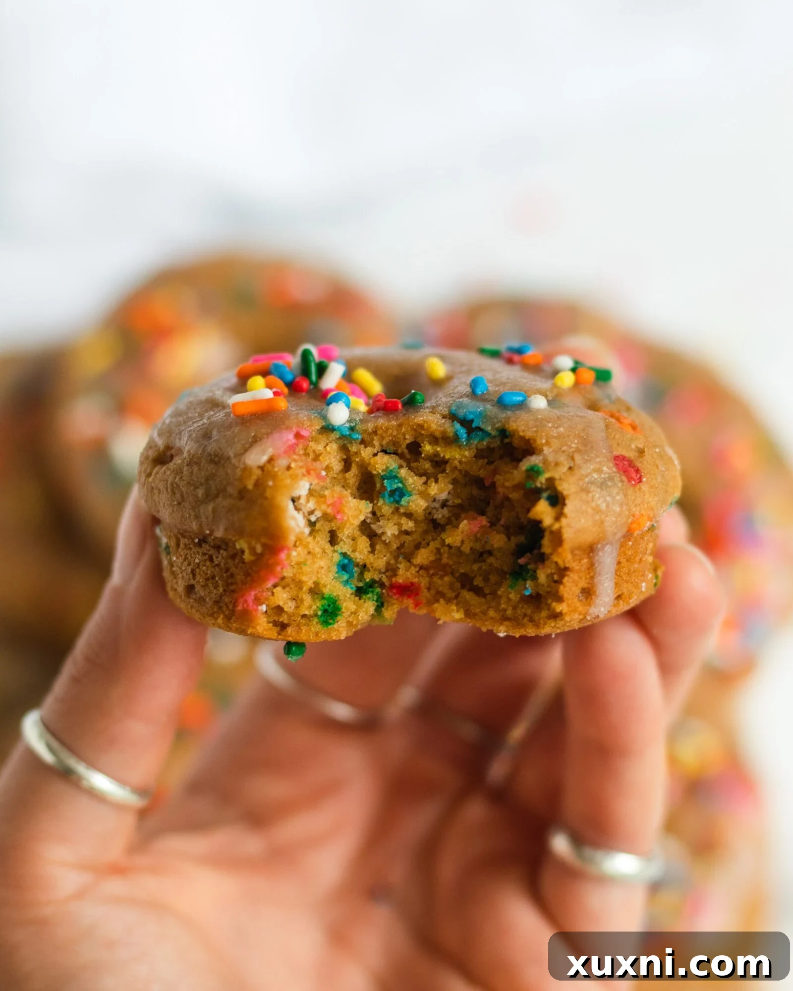 Vegan Birthday Donut Delights 18 hand holding bitten vanilla cake donut