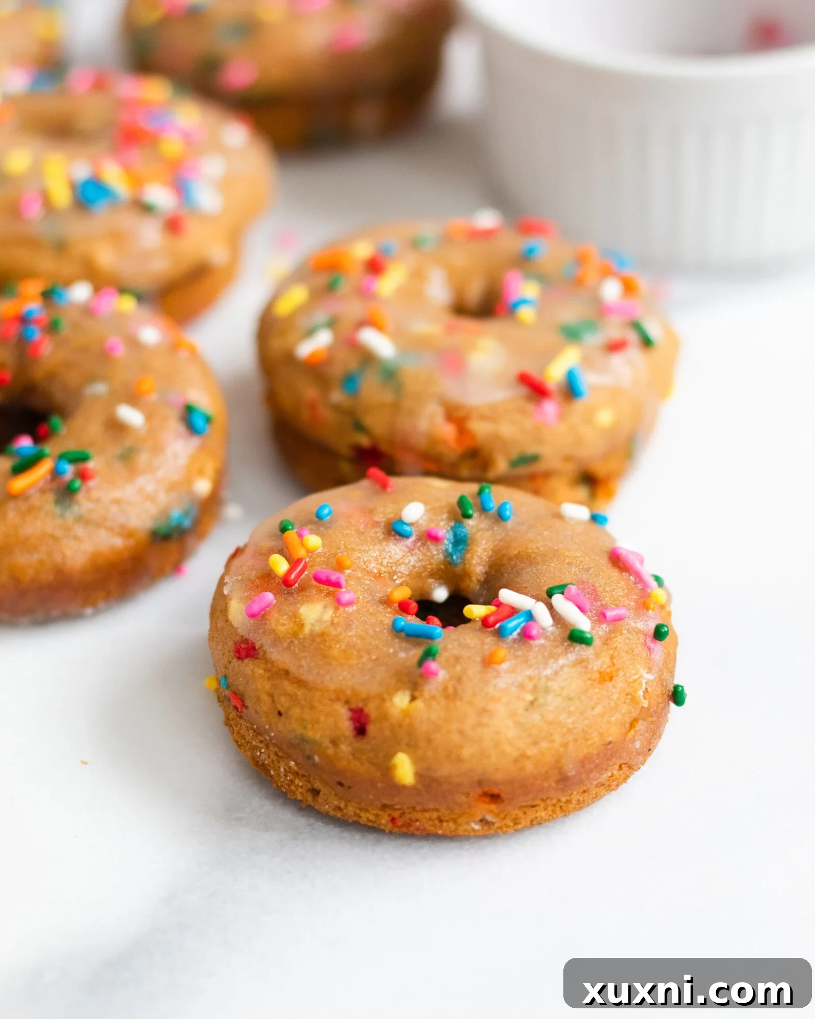 Vegan Birthday Donut Delights 8 easy baked donuts with sprinkles