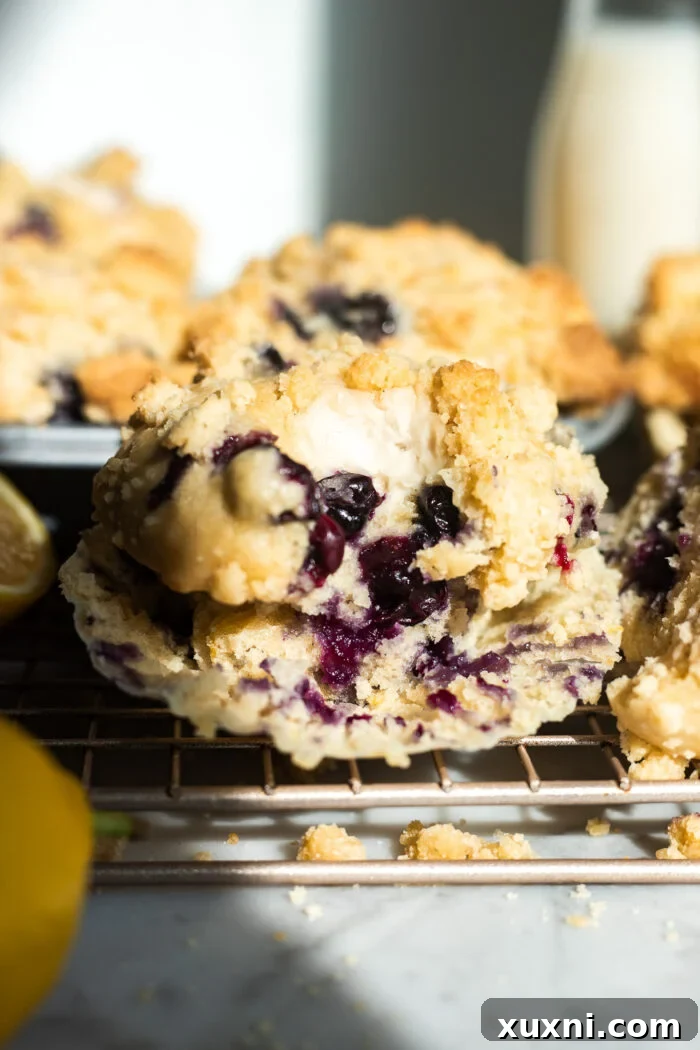 lemon blueberry muffin with bite in it