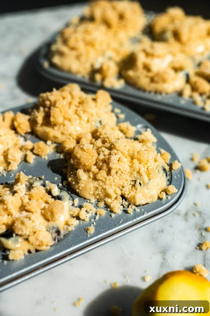 lemon blueberry muffins before baking