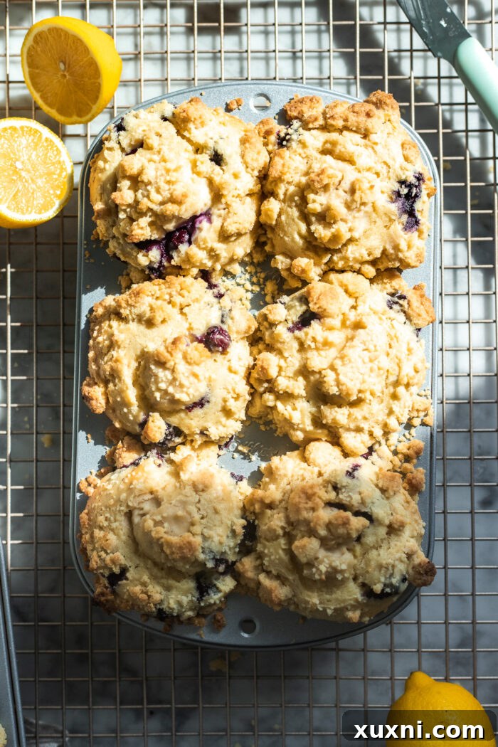 lemon blueberry muffins after baking