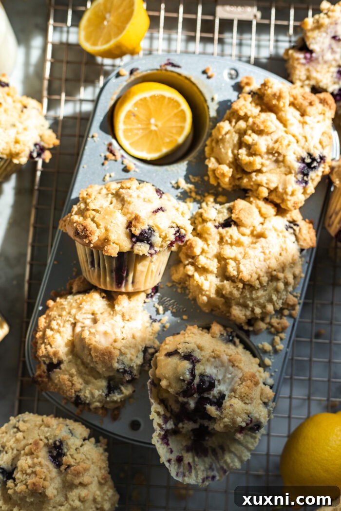 bitten lemon blueberry muffin in a pan
