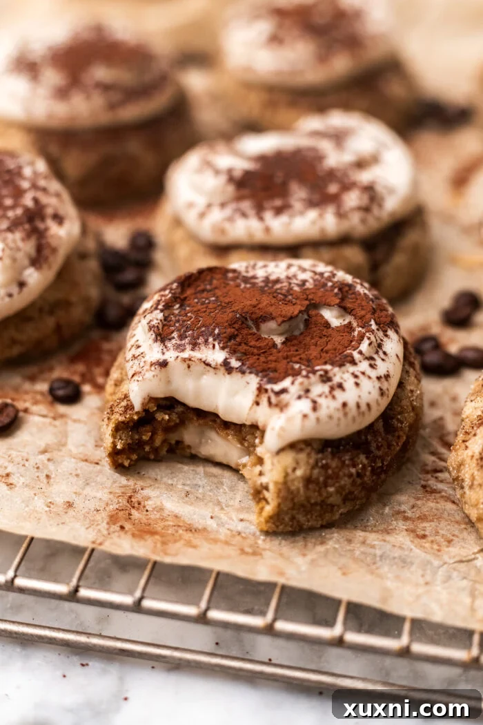 bitten cheesecake tiramisu cookie