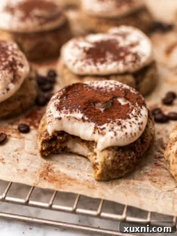 bitten cheesecake tiramisu cookie