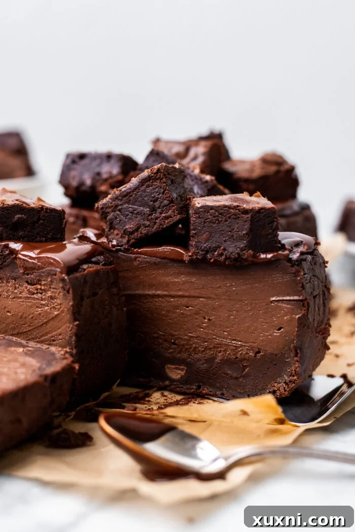 Close-up shot of the creamy, dark chocolate Basque cheesecake layer on top of a fudgy brownie base.