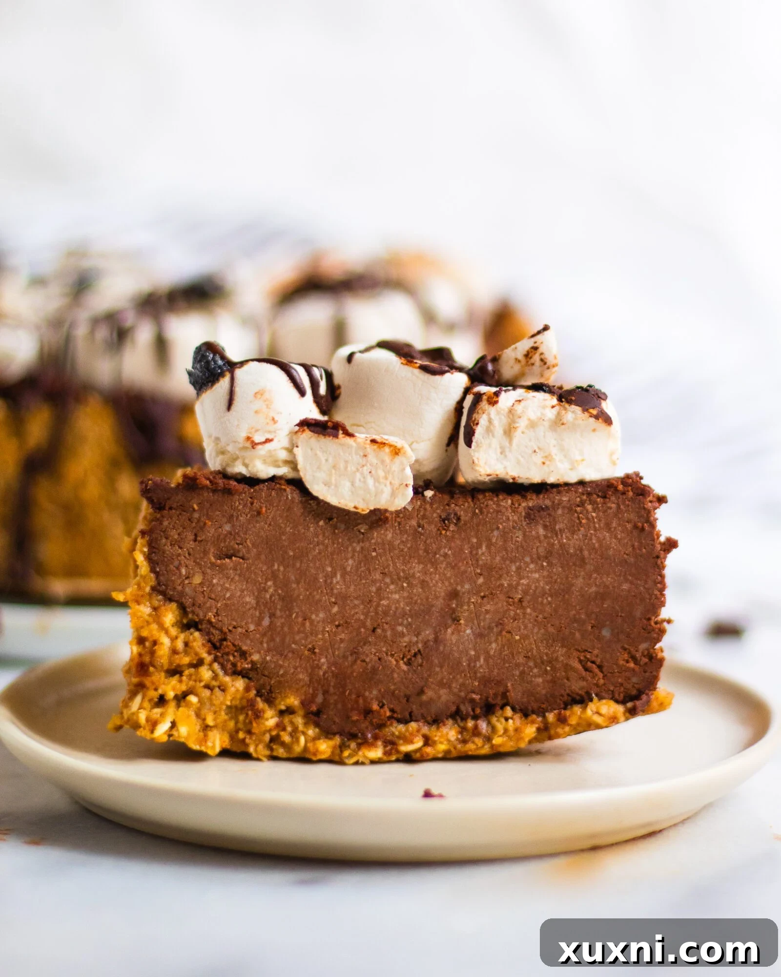 slice of vegan s'mores pie