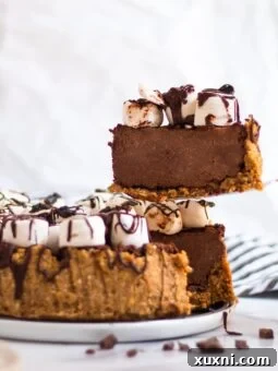 slice of chocolate pie being taken from cake