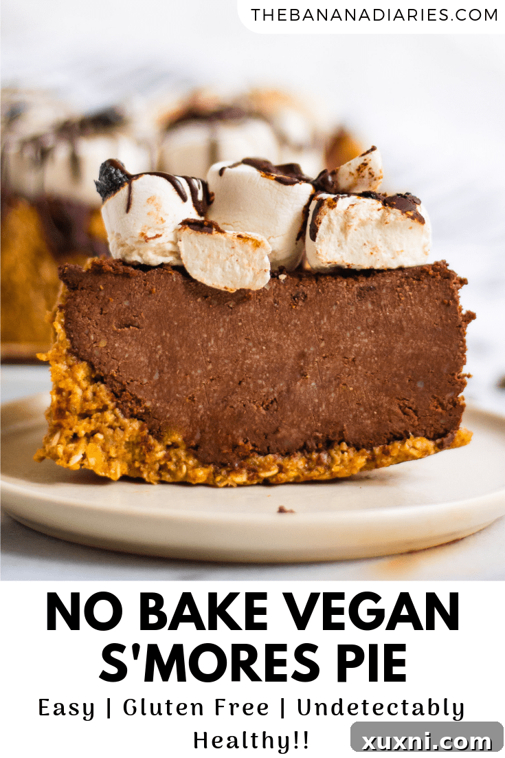 pinterest image for vegan s'mores pie