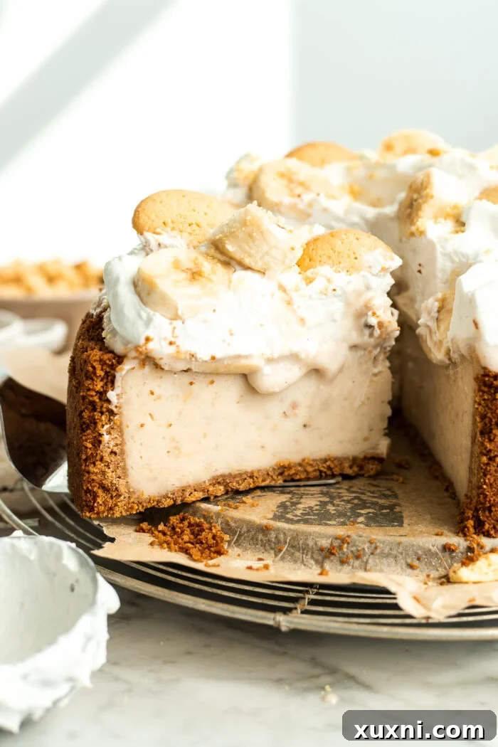 sliced vegan banana pudding cheesecake with fresh banana slices and whipped cream