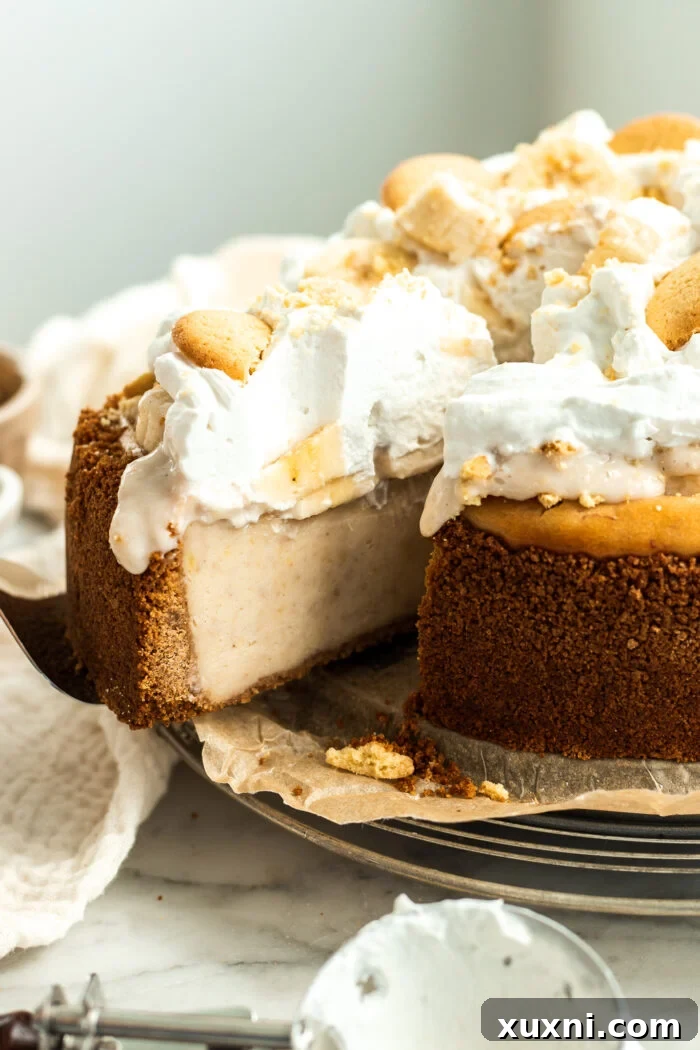 a perfect slice of vegan banana pudding cheesecake ready to be served