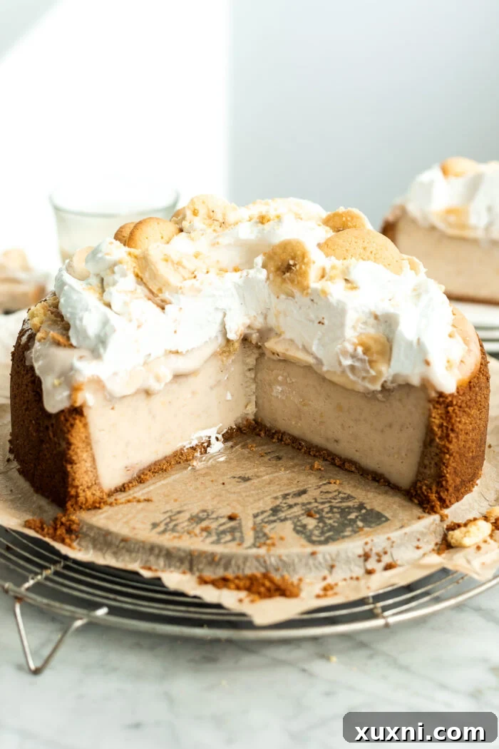 whole vegan banana pudding cheesecake on a cooling rack, freshly baked