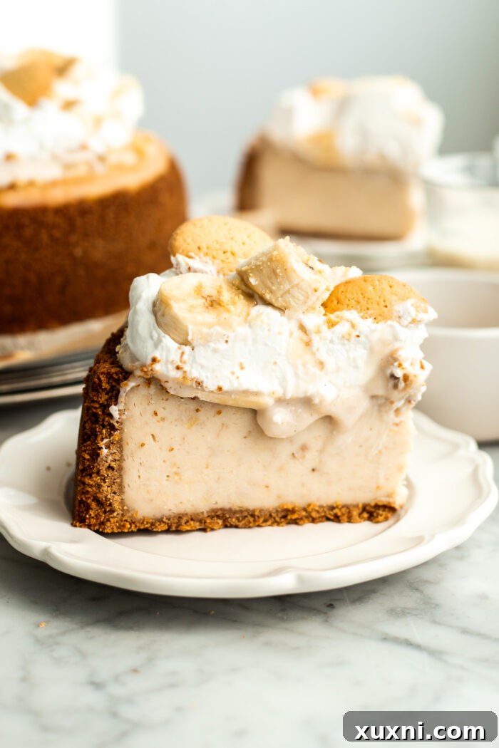 a perfect slice of vegan browned butter banana pudding cheesecake with layers visible