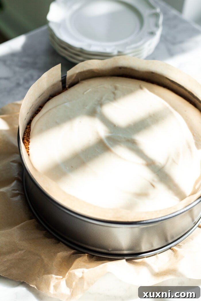 unbaked cheesecake in a springform pan, ready for the oven