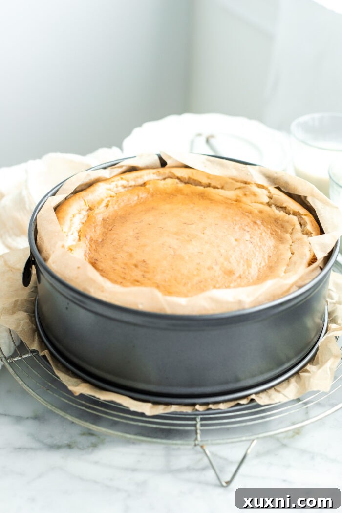 baked cheesecake after cooling, before topping