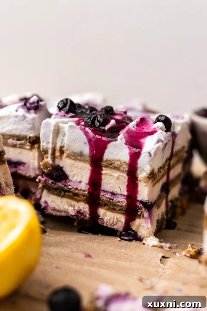 A vibrant slice of vegan lemon blueberry icebox cake, perfectly layered and ready to be enjoyed.