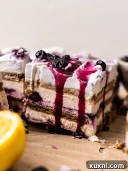 A vibrant slice of vegan lemon blueberry icebox cake, perfectly layered and ready to be enjoyed.