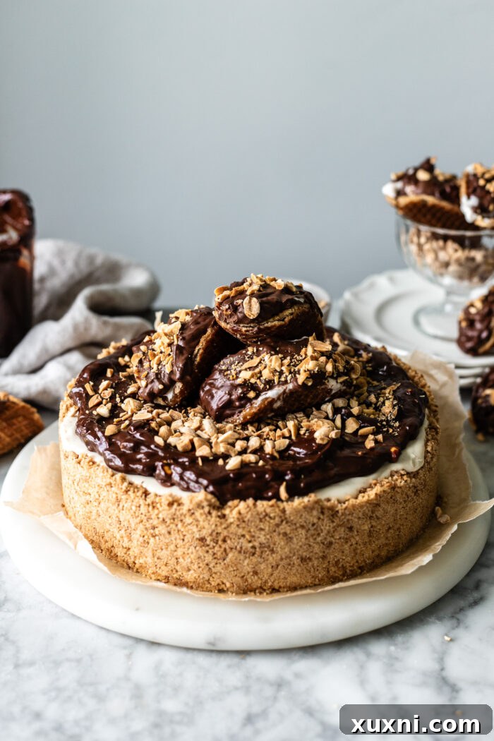 The finished and beautifully decorated choco taco cheesecake, with a generous peanut chocolate topping, ready to be sliced and enjoyed.