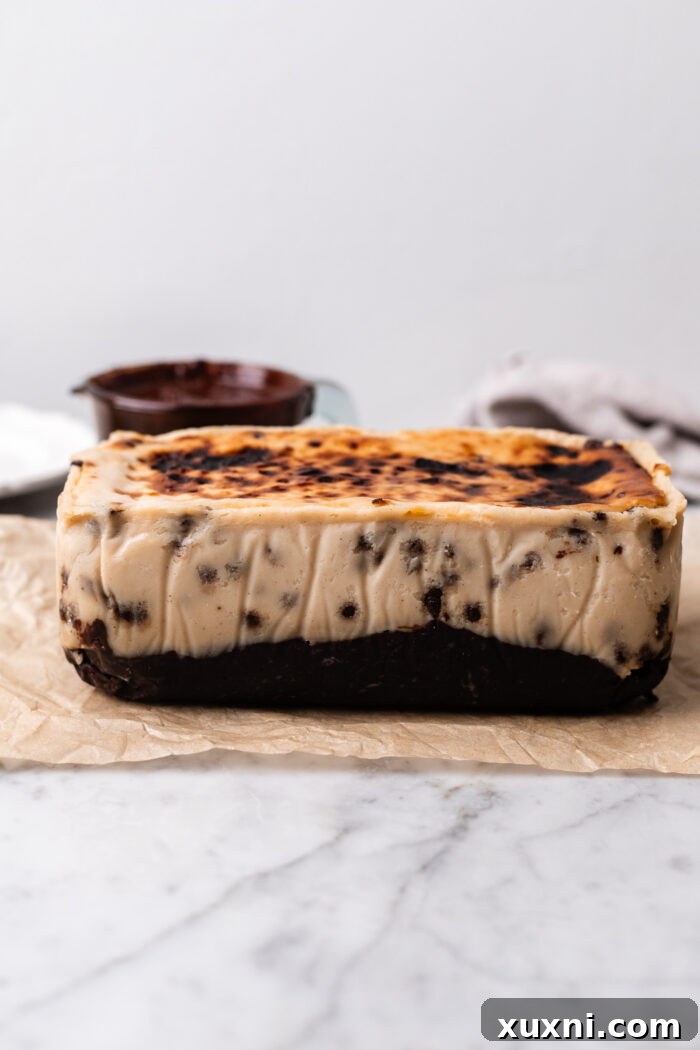 Plant-Powered Brookie Basque Cheesecake Bars for Small Cravings 10 Freshly baked vegan brookie Basque cheesecake with its signature burnt top, straight from the oven.