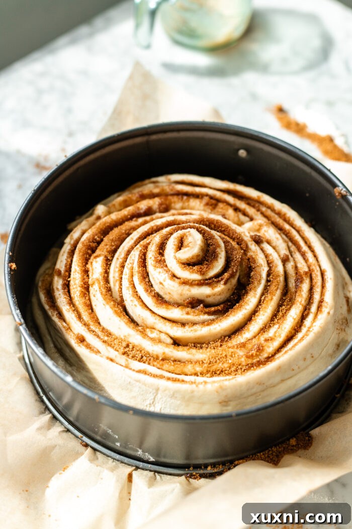 The shaped giant cinnamon roll cake placed in a round baking pan, with additional strips wrapped around the center.