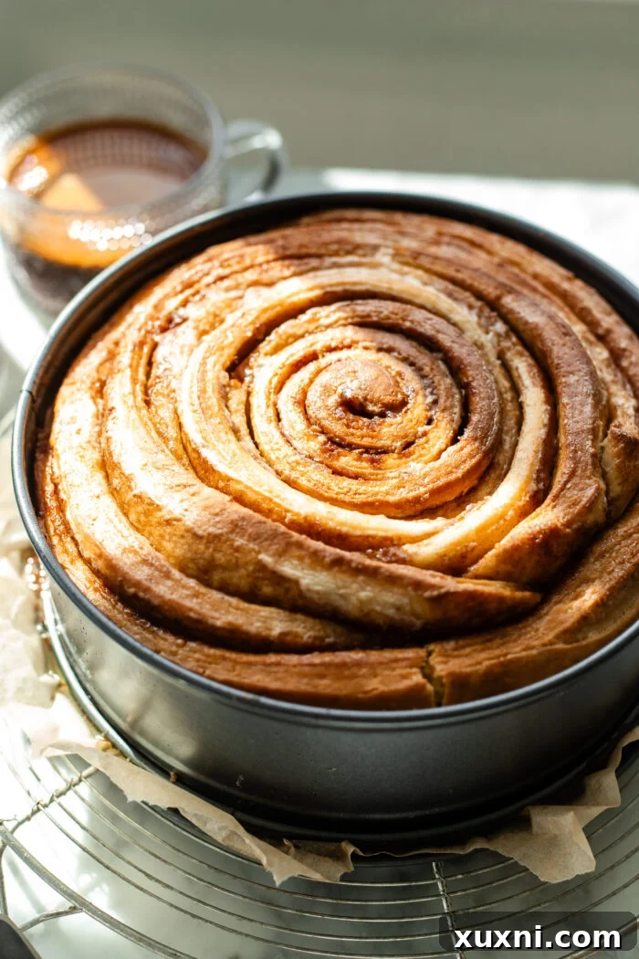 The freshly baked giant vegan cinnamon roll cake, golden brown and puffed, cooling in the pan.