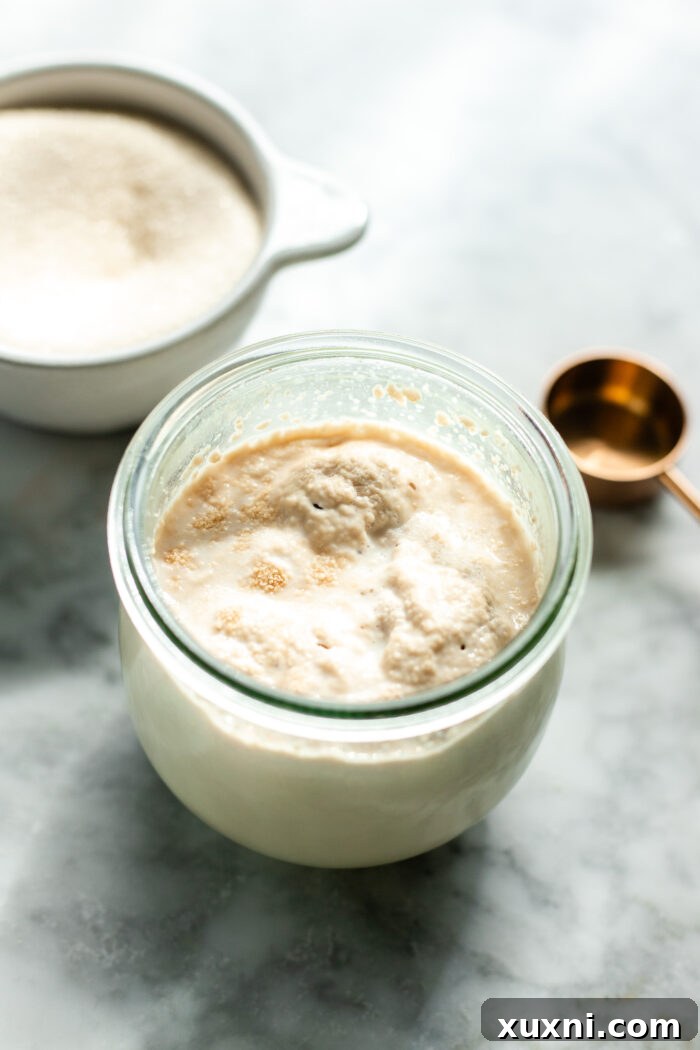 Activated yeast mixture in a bowl, visibly foamy and bubbling on top, indicating successful proofing.