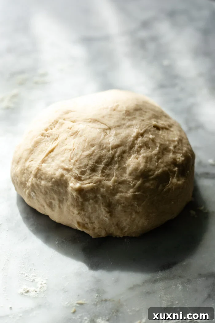 Raw cinnamon roll dough in a mixing bowl, smooth and ready for its first rise, before doubling in size.