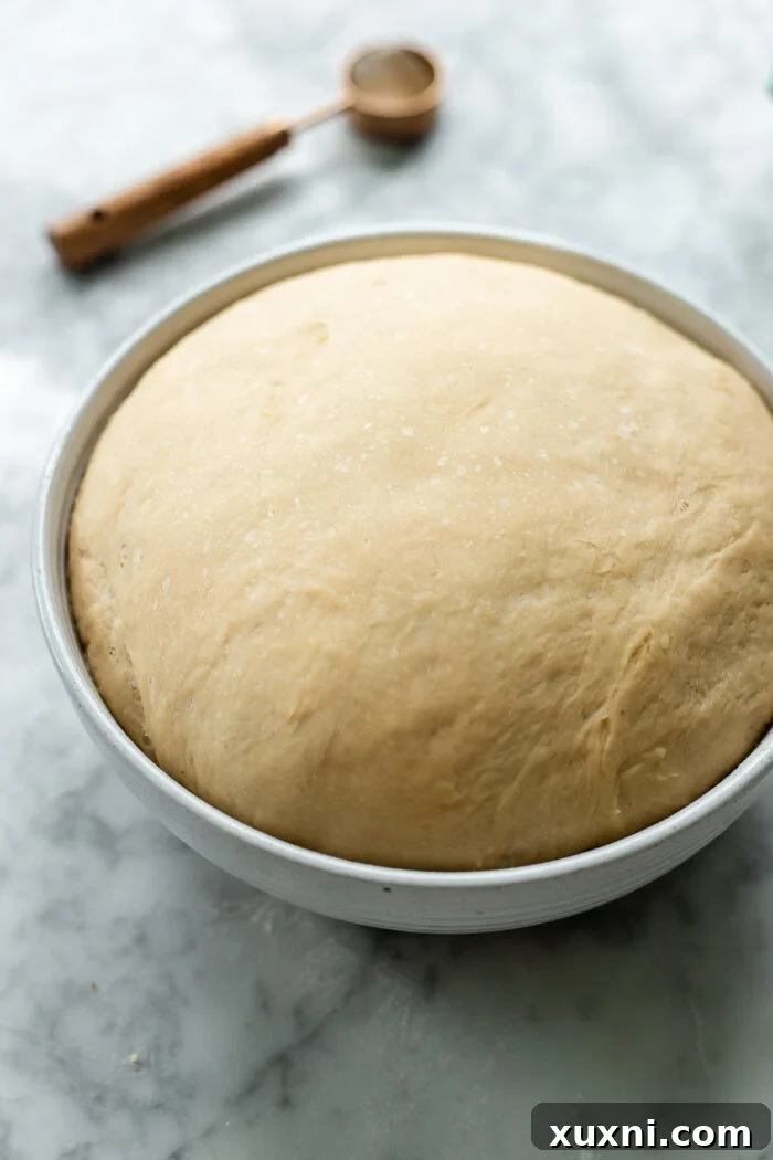 Proofed cinnamon roll dough, visibly doubled in size and light, filling the mixing bowl, ready for shaping.