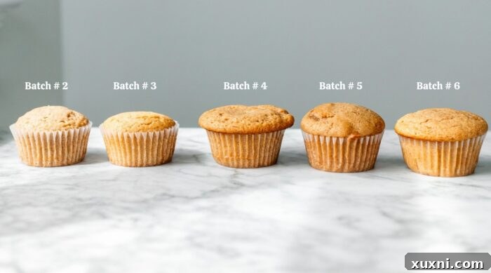 Multiple batches of vegan apple cider cupcakes, showing various stages of recipe testing.