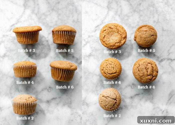 Another image showing various test batches of vegan apple cider cupcakes, highlighting the development process.