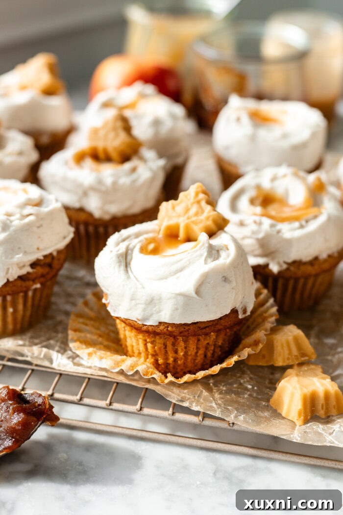Beautifully frosted vegan apple cider cupcakes with a generous swirl of brown butter cream cheese frosting.