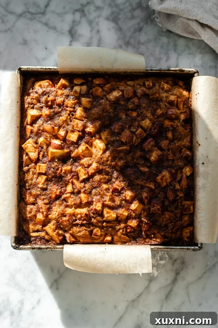 A freshly baked vegan apple fritter cake, golden brown and puffed, cooling in its baking pan straight out of the oven.