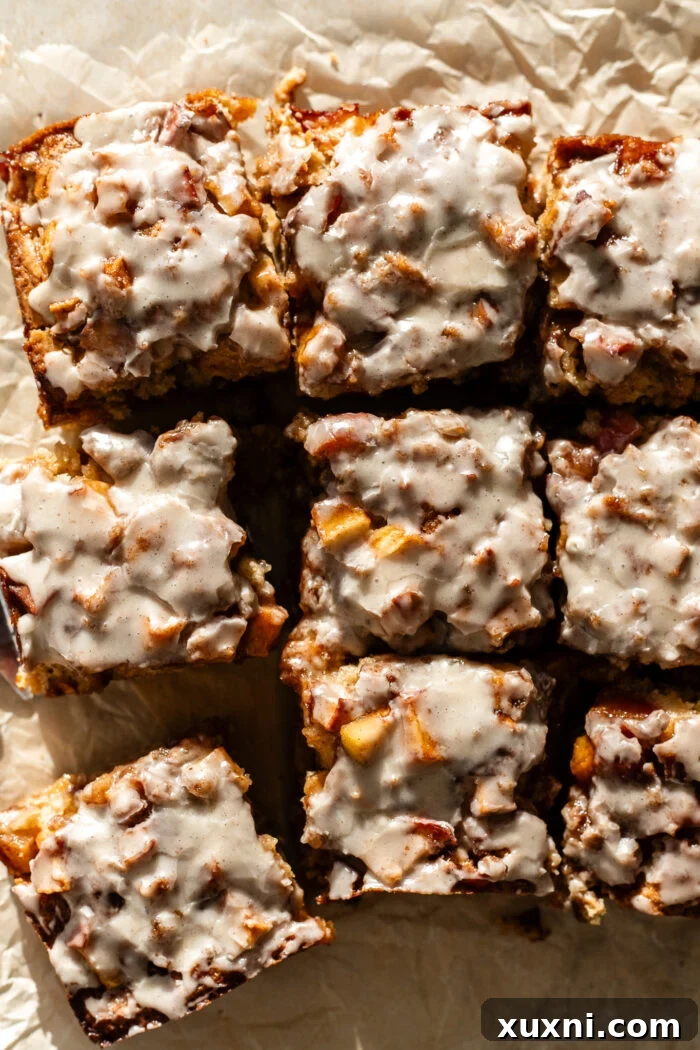 Close-up of a full, round vegan apple fritter cake, beautifully sliced to reveal the rich brown butter cake, cinnamon apple chunks, and crumble topping.