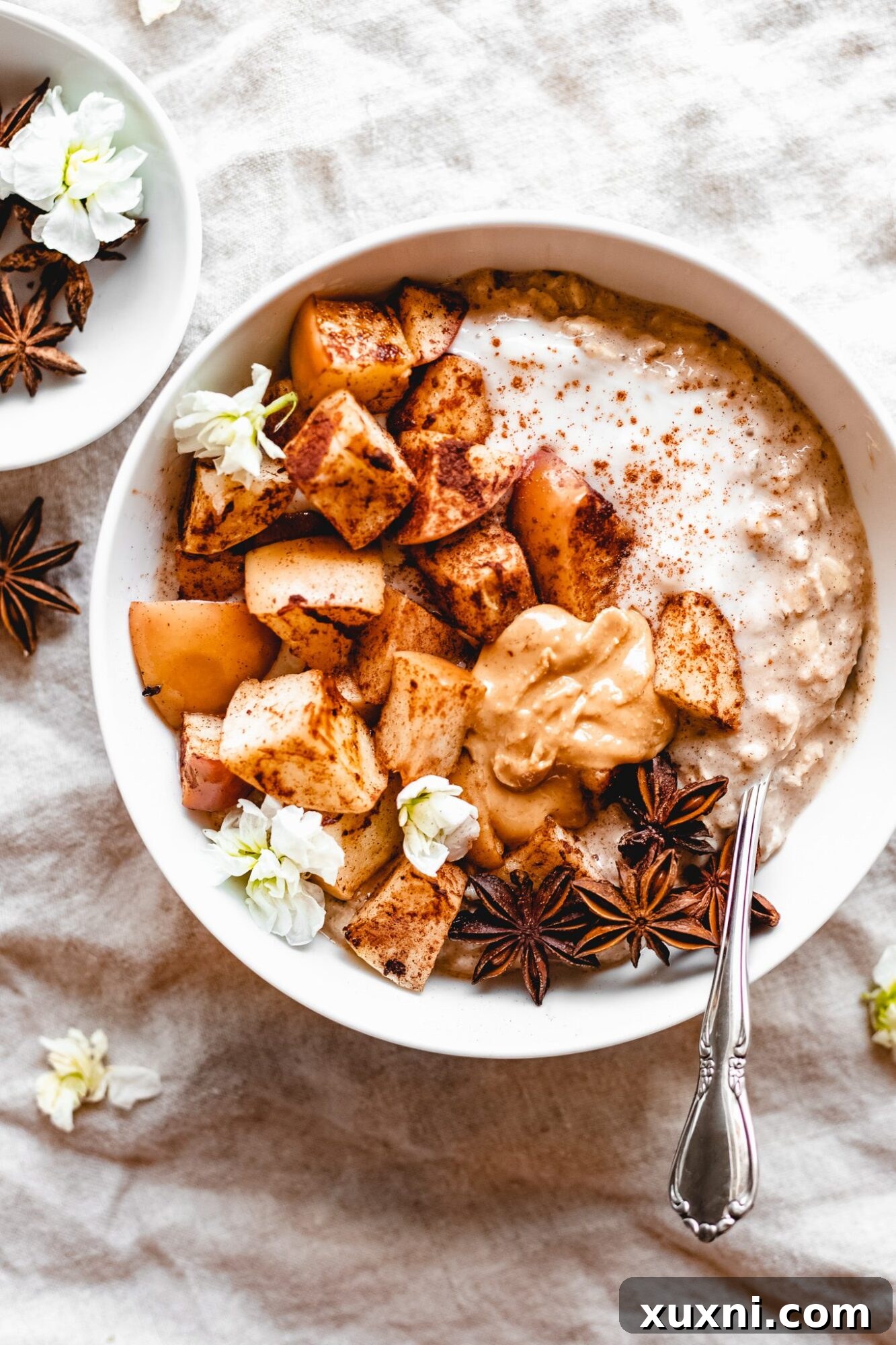 bowl of vegan apple pie overnight oats