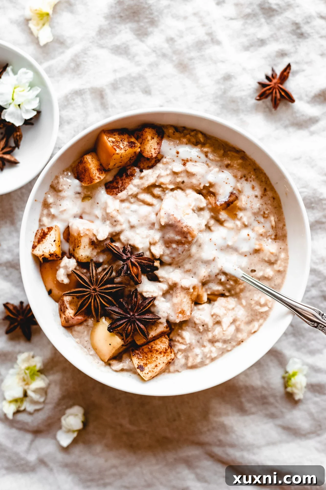 mixed bowl of vegan overnight oats