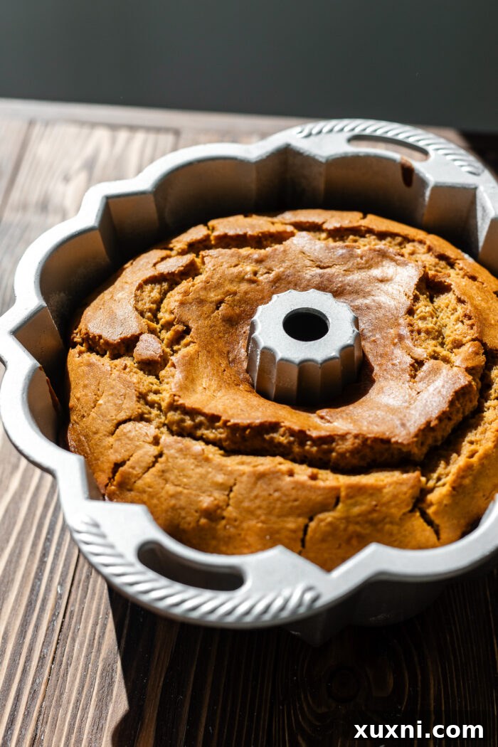 freshly baked pumpkin bundt cake in the pan