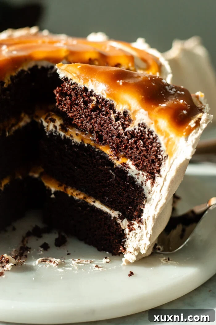 Decadent One-Bowl Vegan Chocolate Caramel Cake 4 A tempting image of a sliced vegan caramel cake, revealing its perfectly layered structure and inviting texture.