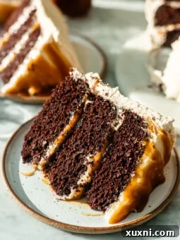 slice of vegan chocolate caramel cake