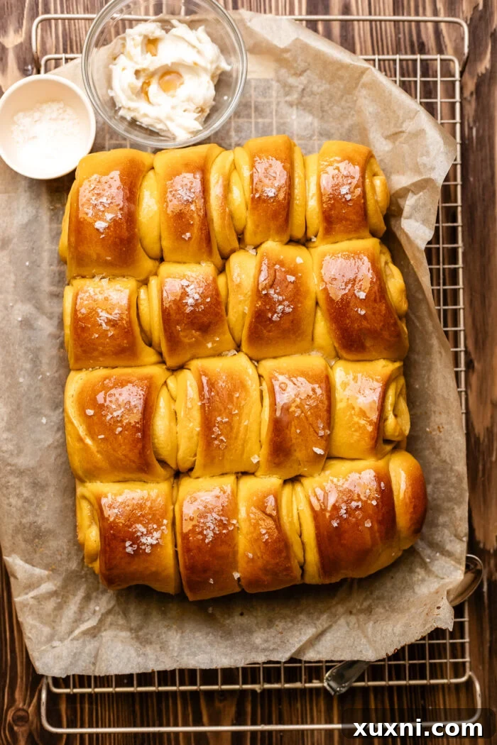 Baked golden brown Parker house rolls.