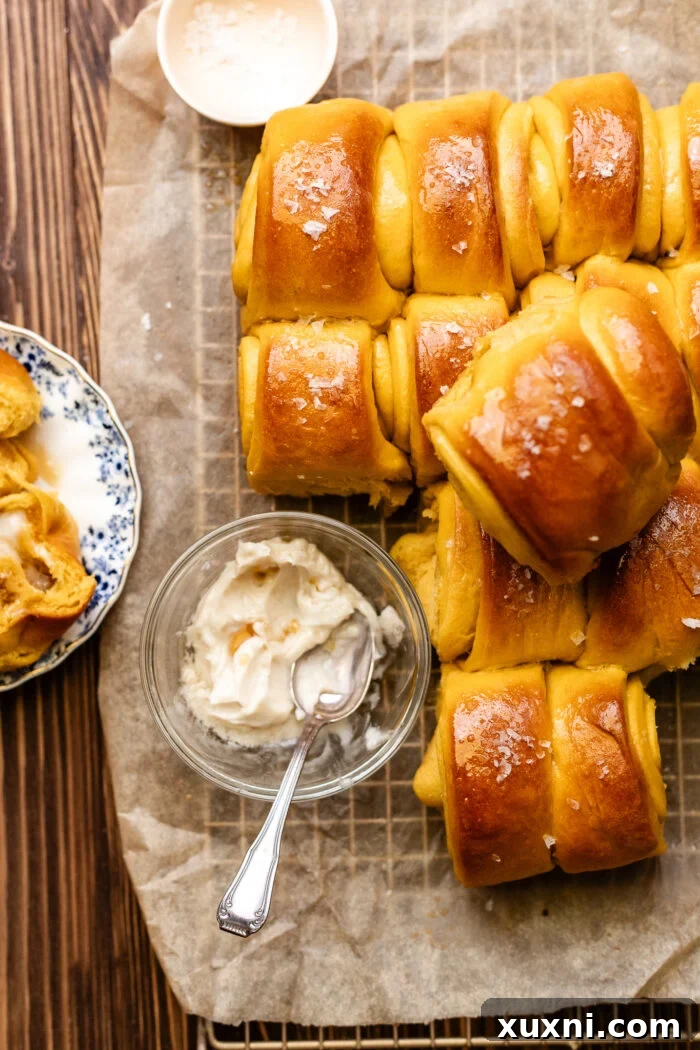 A plate with a freshly baked Parker house roll and salted maple butter.