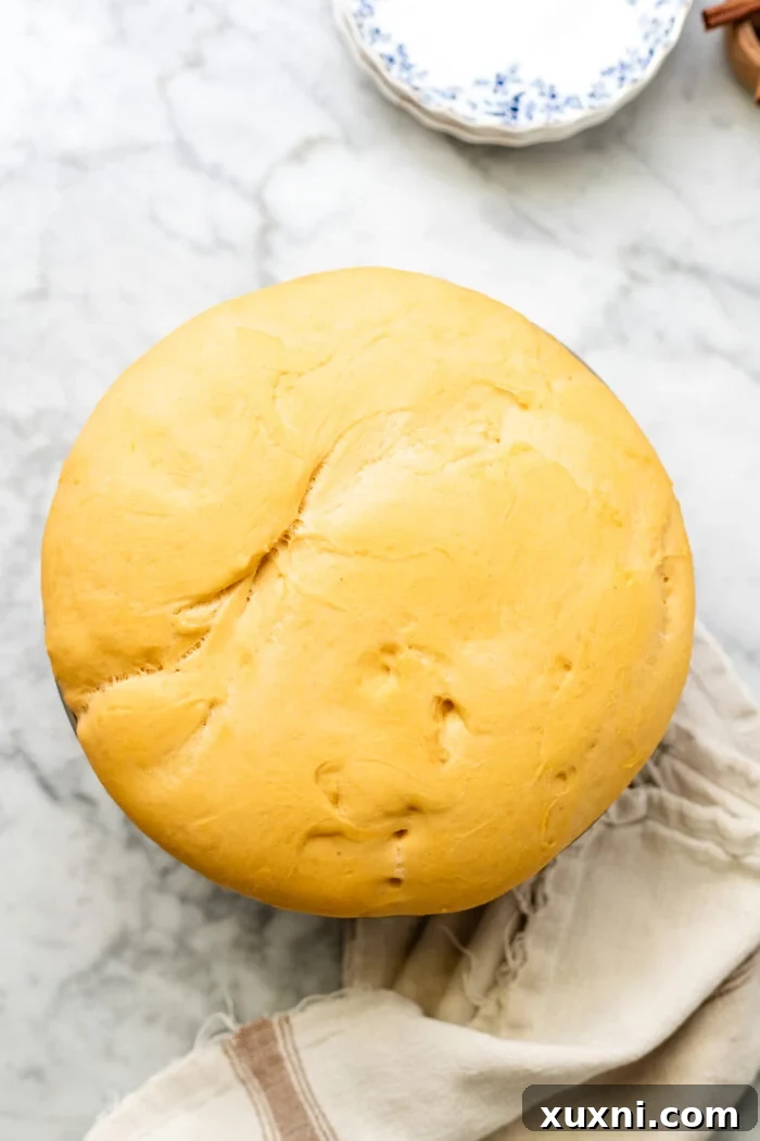 Doubled dough being turned onto a floured surface.