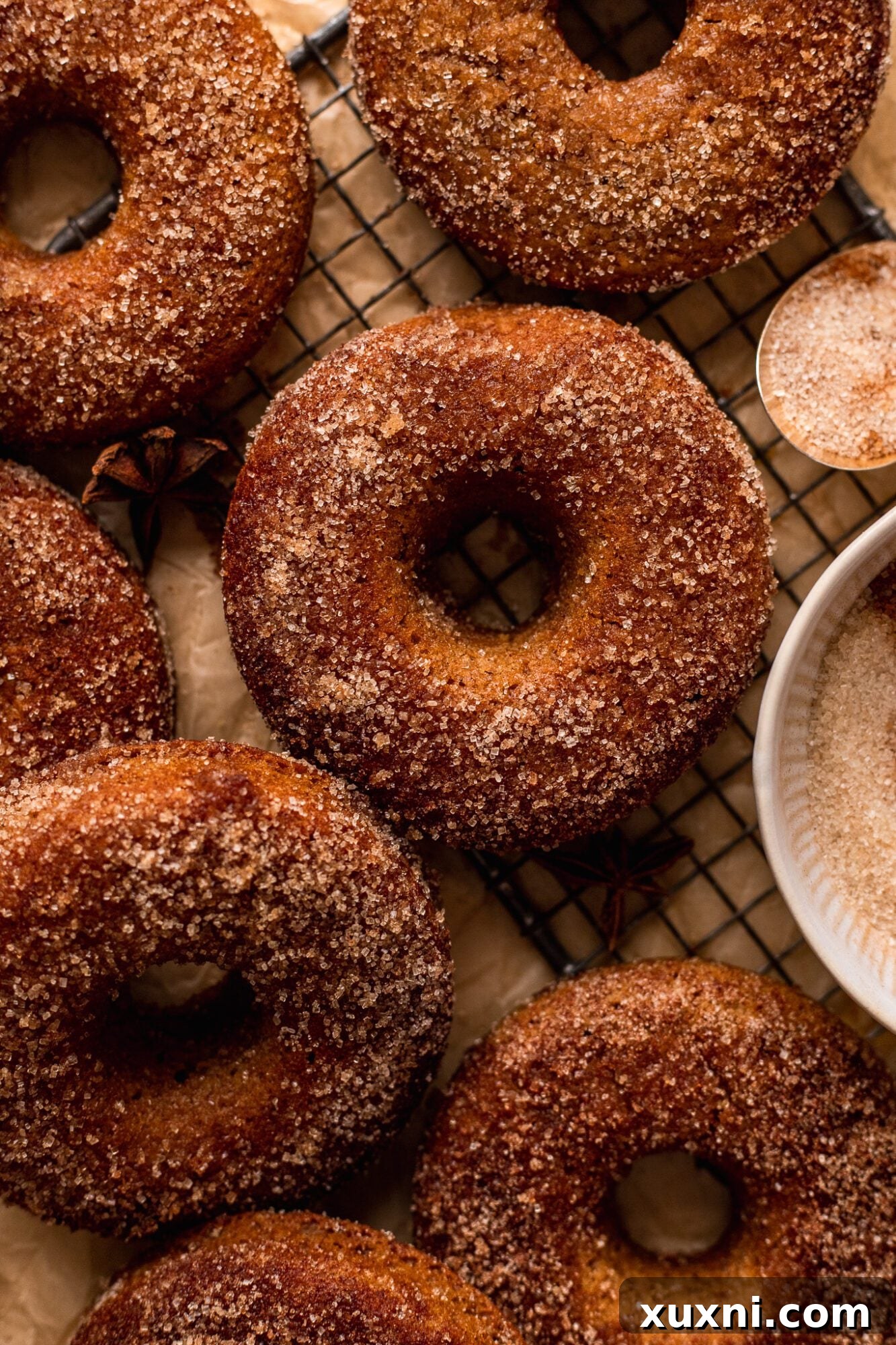 Effortless Vegan Gluten Free Cinnamon Sugar Donuts 5 Baked Vegan Cinnamon Sugar Donuts (Gluten Free!)