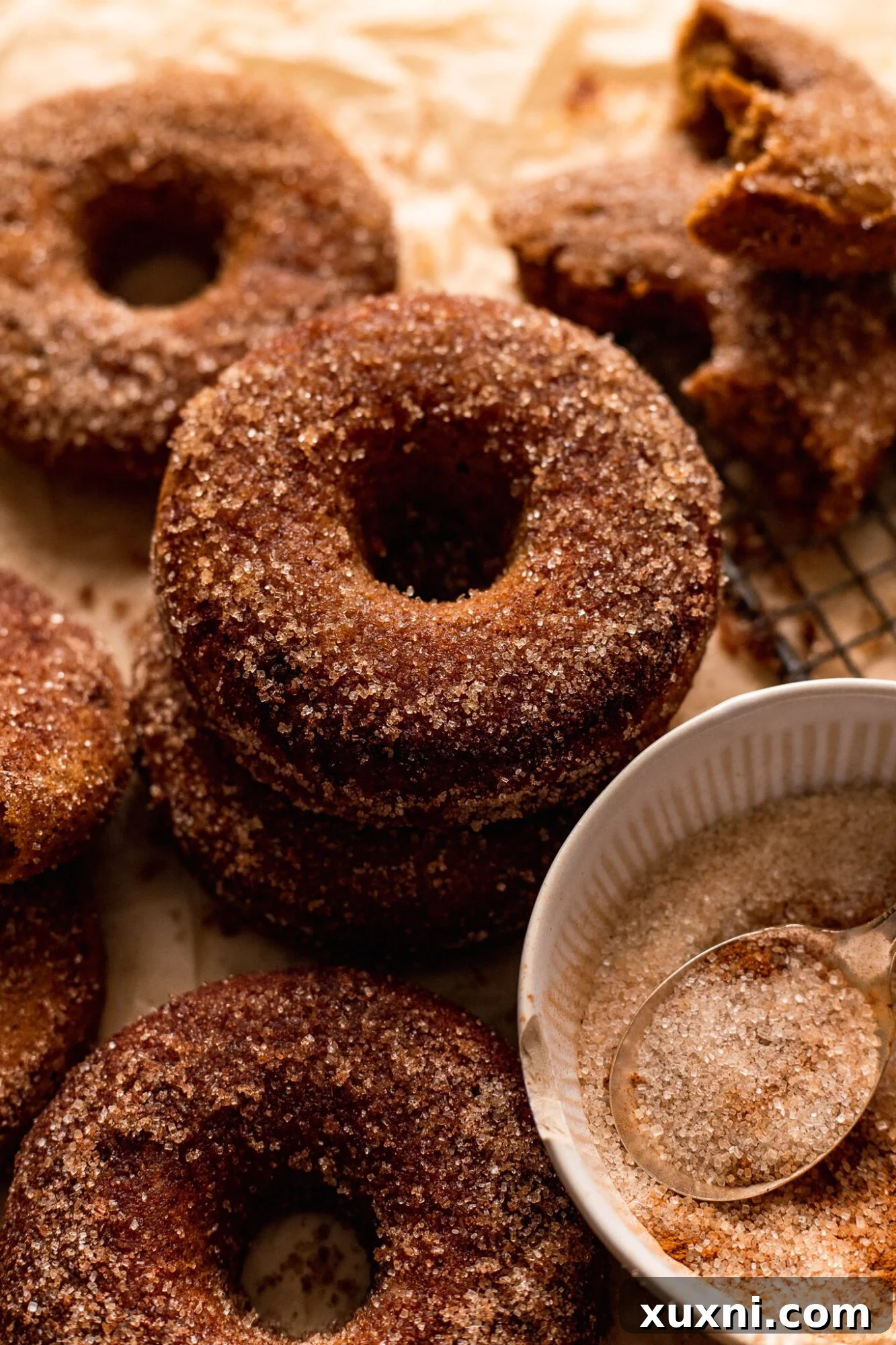 Effortless Vegan Gluten Free Cinnamon Sugar Donuts 8 gluten free cinnamon sugar donuts