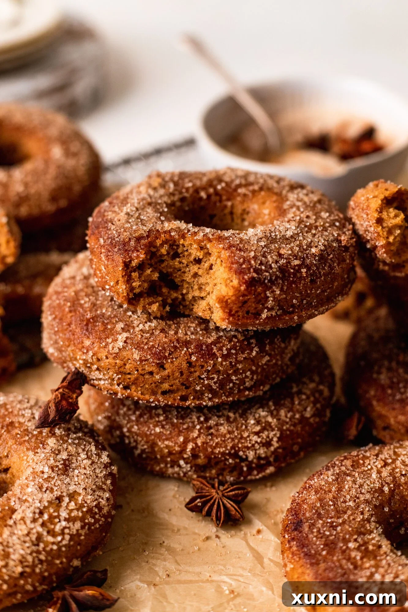 Effortless Vegan Gluten Free Cinnamon Sugar Donuts 9 baked vegan donuts