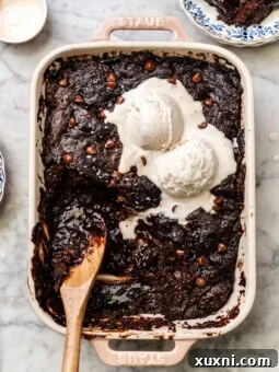 chocolate pudding cake in a casserole dish with ice cream