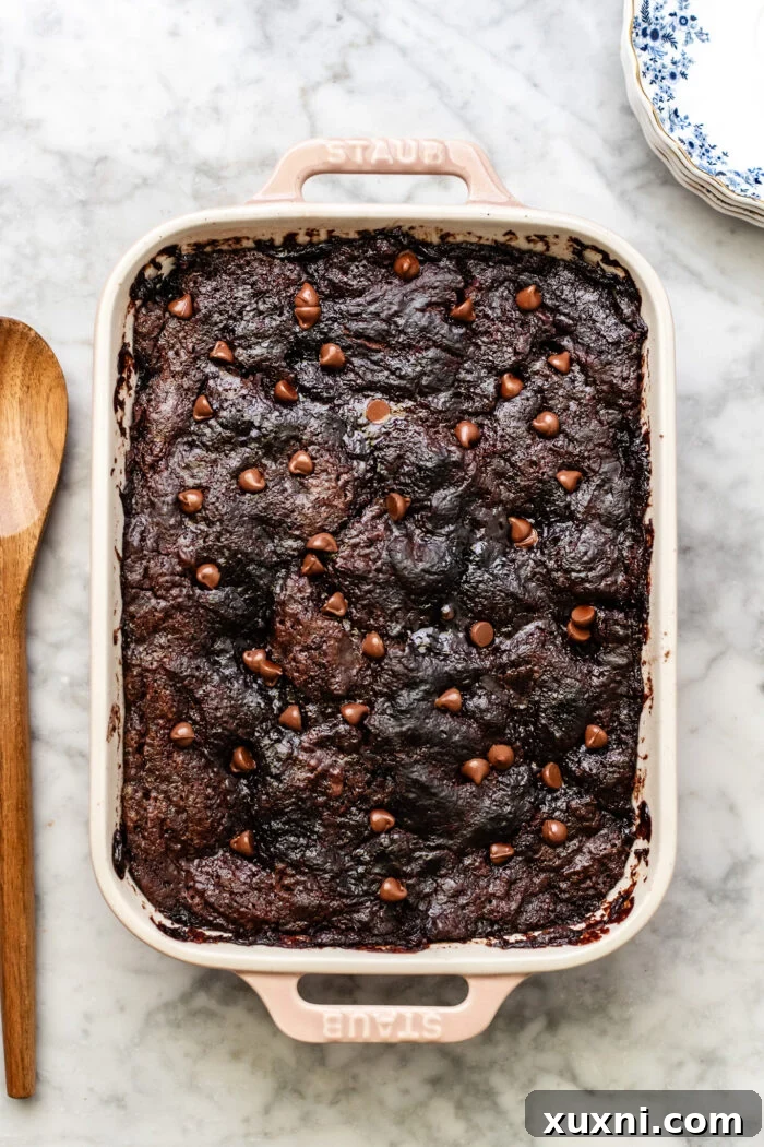 Freshly baked self-saucing chocolate pudding cake, puffy and golden on top, right out of the oven.