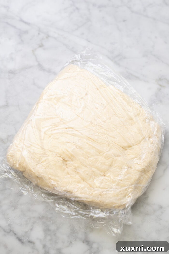 Soft Baked Frosted Dairy-Free Sugar Cookies with Vegan Cream Cheese Frosting 7 Chilled vegan cookie dough wrapped in plastic wrap