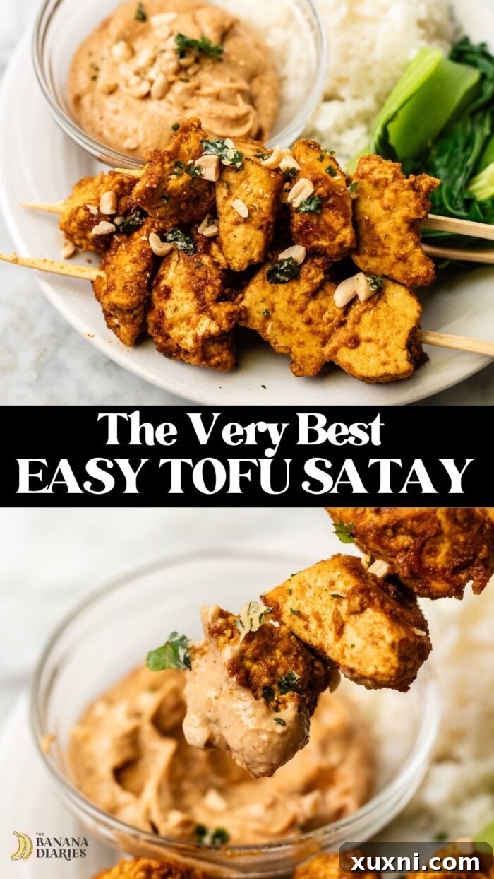 Easy Pan-Seared Tofu Satay with Peanut Sauce pinterest pin