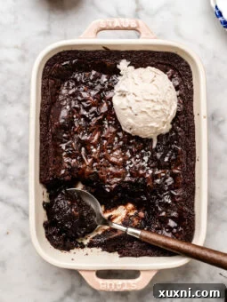 A scoop of rich, dark molten brownie pudding topped with creamy vegan vanilla ice cream, perfectly portioned for an indulgent dessert for two.