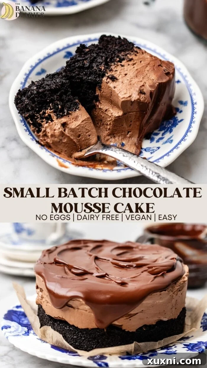 Small Batch Vegan Chocolate Mousse Cake - No Tofu, No Cashews! pinterest pin