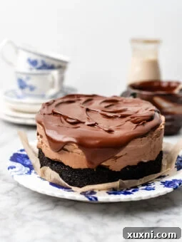 small batch chocolate mousse cake on a plate
